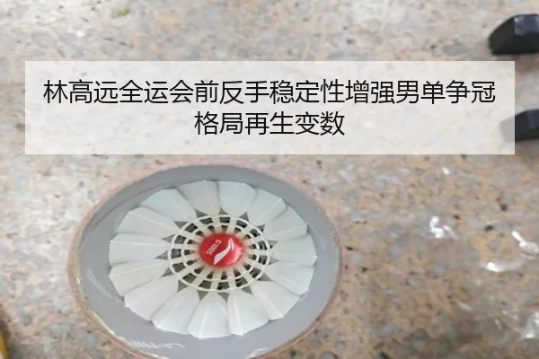 林高远全运会前反手稳定性增强男单争冠格局再生变数